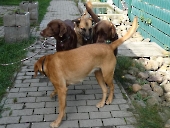 Pension_2