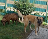 Pension_2