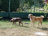 Pension_37