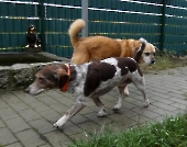 Pension_3