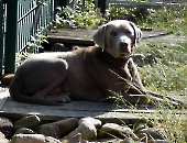 Pension_41