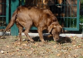 Pension_42