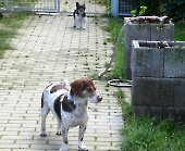 Pension_44