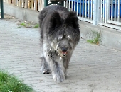 Pension_49