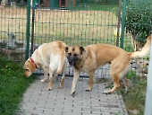 Pension_5