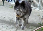 Pension_8