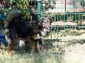 Pension_12