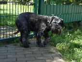 Pension_20