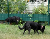 Pension_21