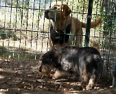 Pension_24