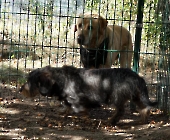 Pension_25