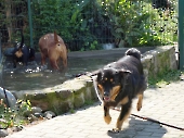 Pension_26