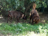Pension_26