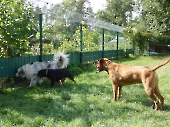 Pension_29