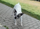 PENSION_2
