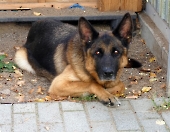 Pension_34