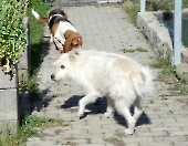Pension_37