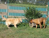 Pension_56