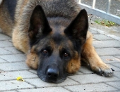 Pension_65