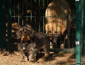 Pension_6