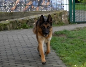Pension_21