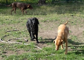 Pension_24