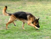 Pension_24