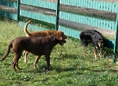 Pension_27
