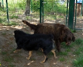 Pension_2
