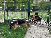 Pension_36