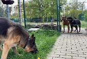 Pension_37