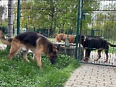 Pension_38