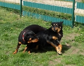 Pension_3