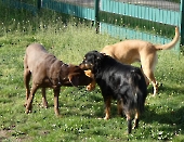 Pension_40