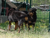 Pension_44