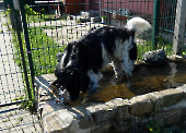 Pension_12