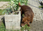 Pension_15