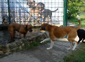 Pension_1