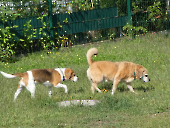 Pension_22