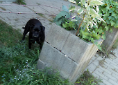 Pension_22
