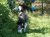 Pension_24