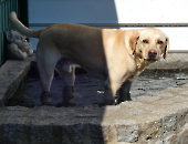 Pension_25
