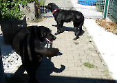 Pension_28