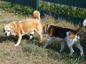 Pension_2