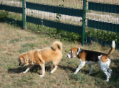 Pension_30