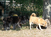 Pension_33