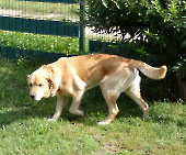 Pension_35
