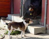 Pension_38