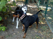 Pension_38