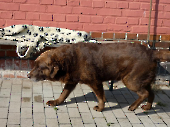 Pension_46
